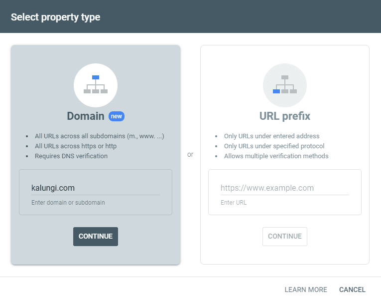 Search console setup