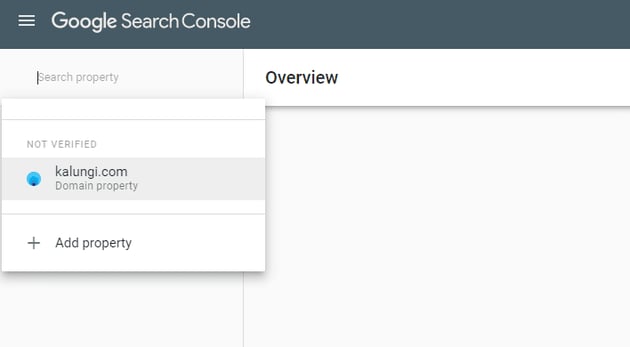 Search console setup