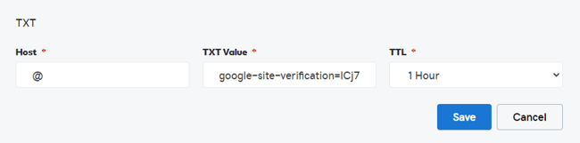 site txt record example