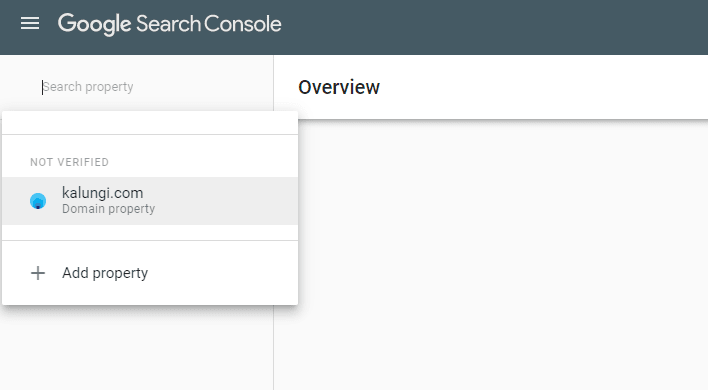 adding a domain property to google search console